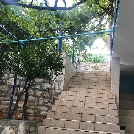 Dina House *