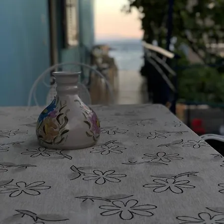 Dina House *