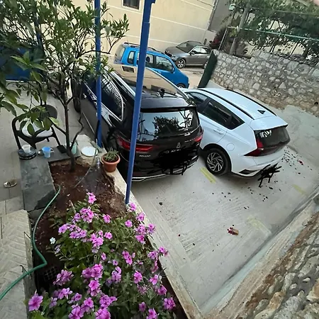 Guest house Dina House 3*