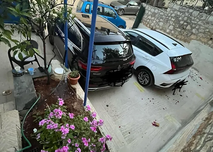 Guest house Dina House 3*